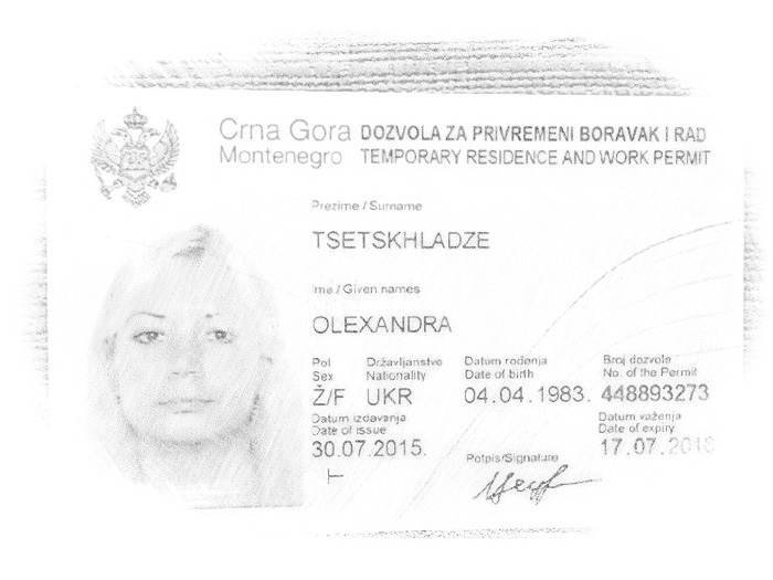 Виза в Черногорию